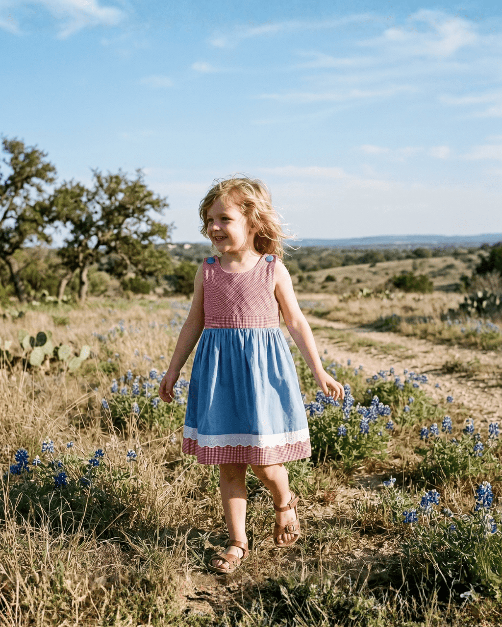 Denim Look and Red Gingham A-Line Dress